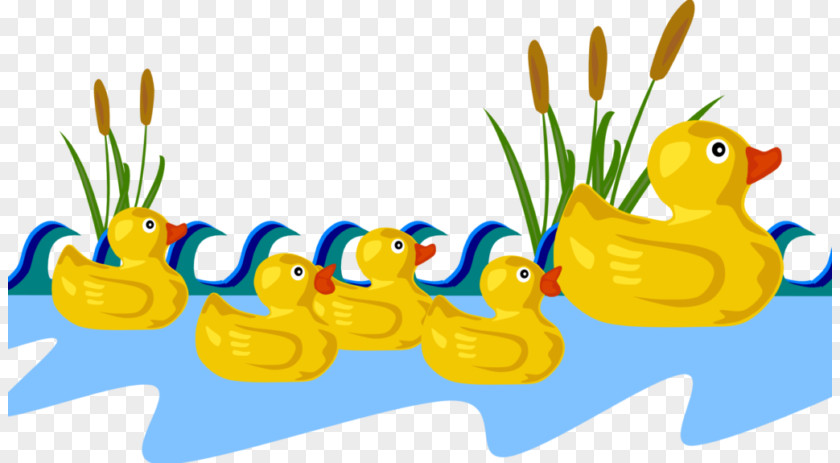 Toy Water Bird Duck Cartoon PNG