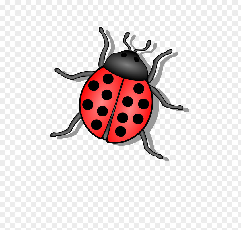 Bug Beetle Ladybird Clip Art PNG