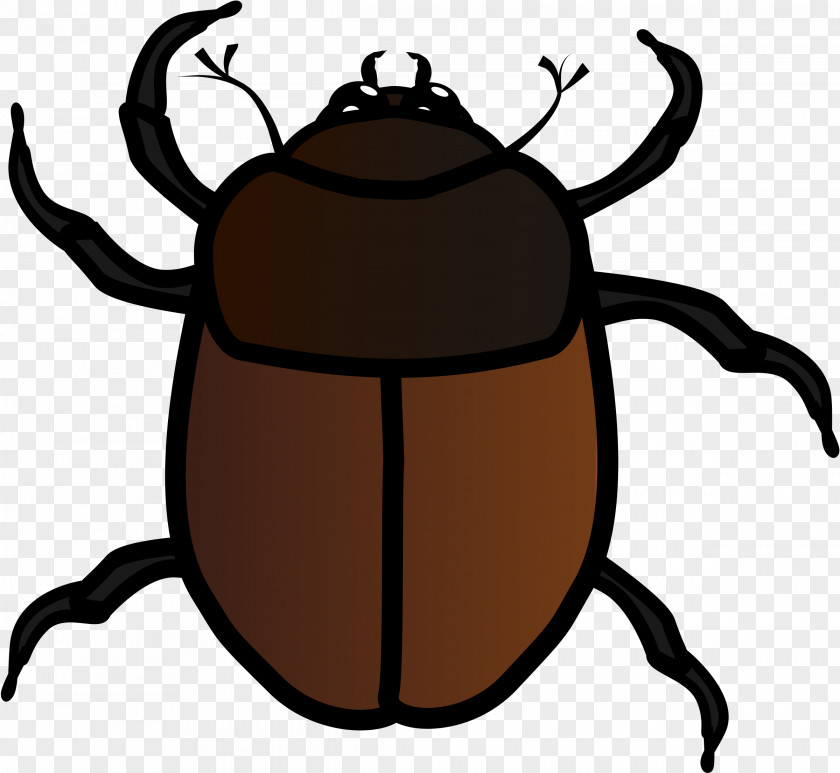 Bugs Beetle Drawing Clip Art PNG