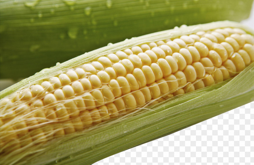 Corn On The Cob Maize Food Crops Google Images PNG