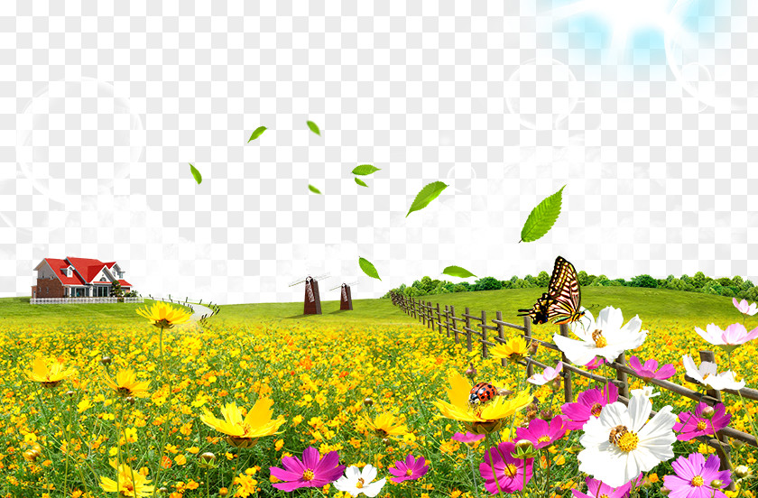 Flowers Flower Poster PNG
