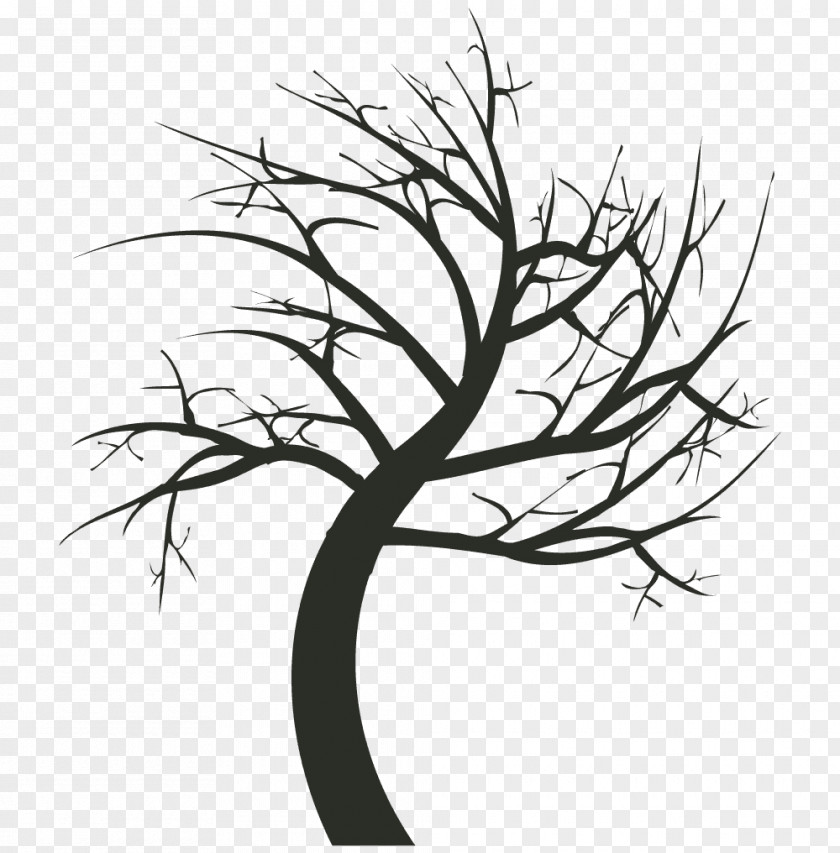 Halloween Coloring Book Twig Tree Text PNG