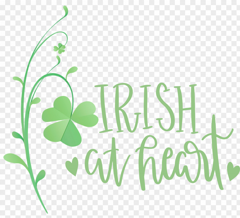 Leaf Logo Font Flora Meter PNG