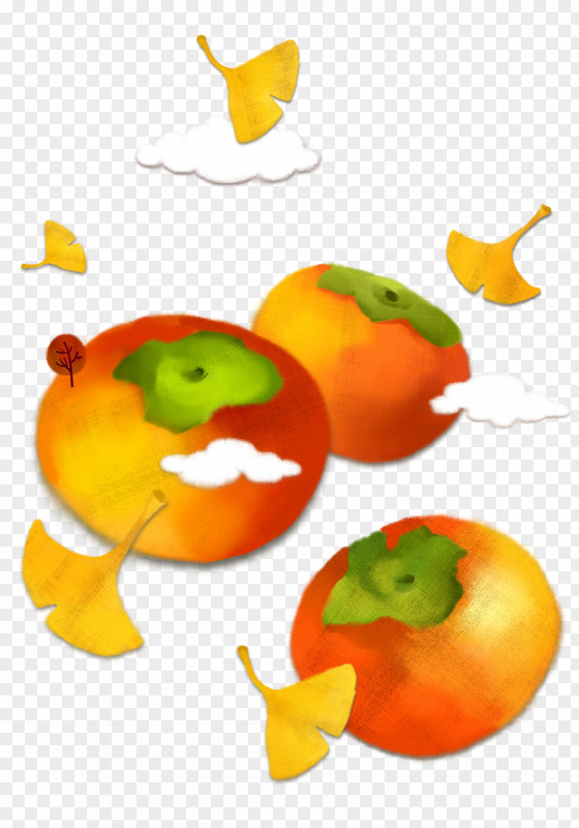 Persimmon Autumn Elements Japanese Cartoon Illustration PNG