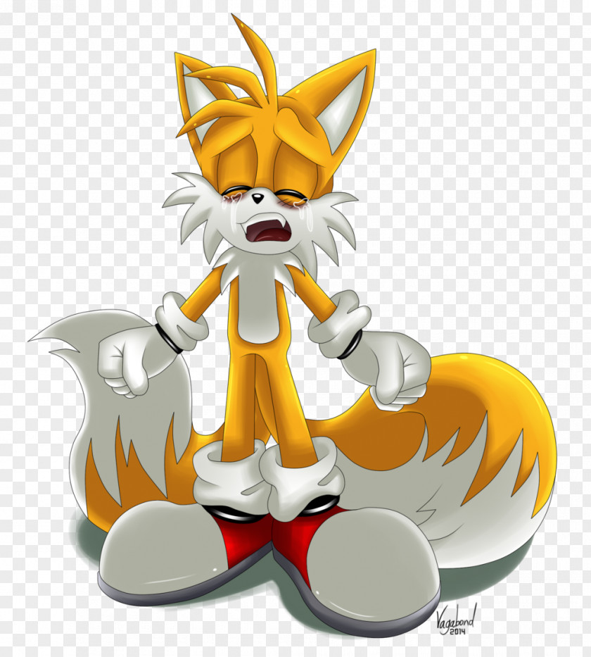 Sonic The Hedgehog Chaos Tails 3 & Knuckles PNG