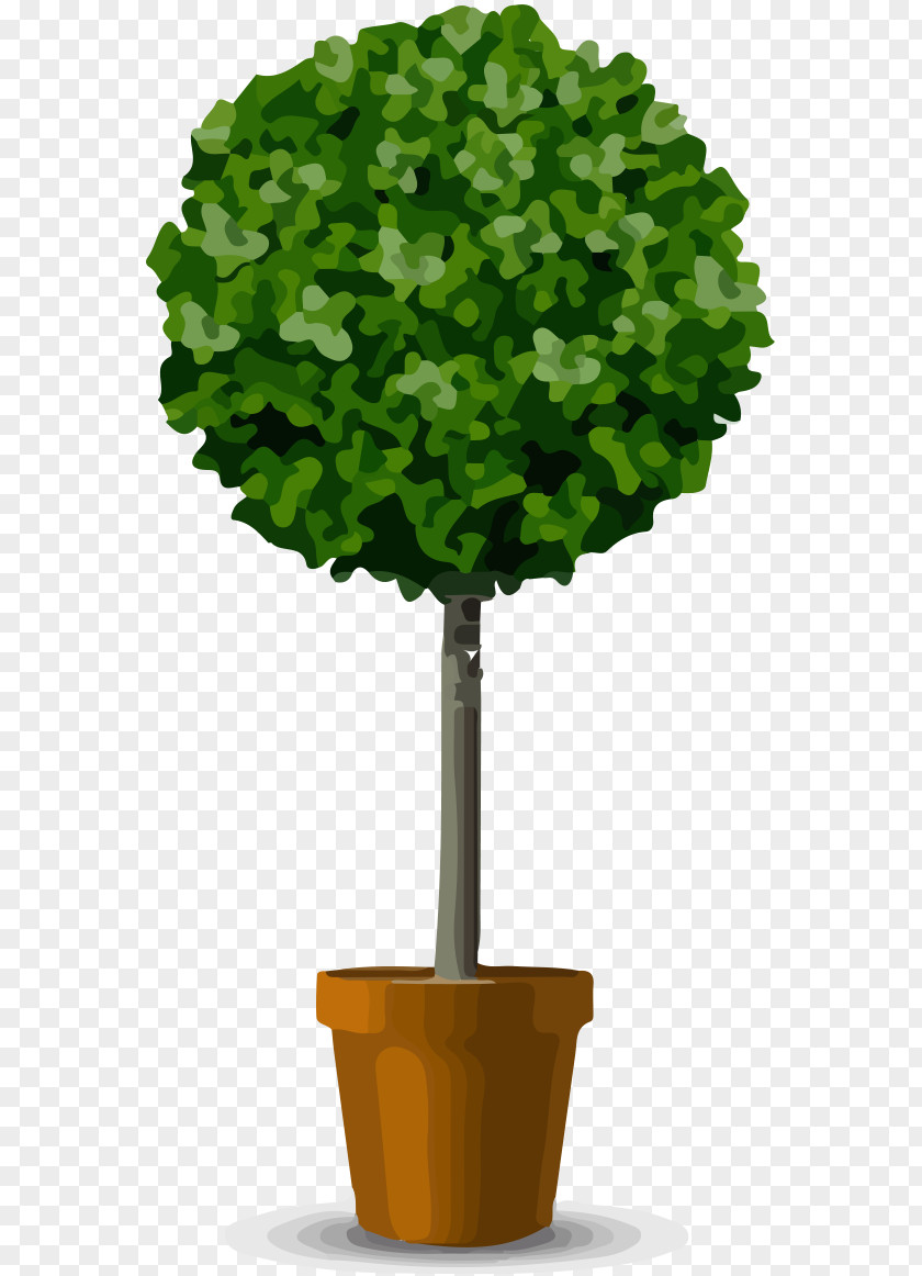 Tree Flowerpot Shrub Pruning PNG