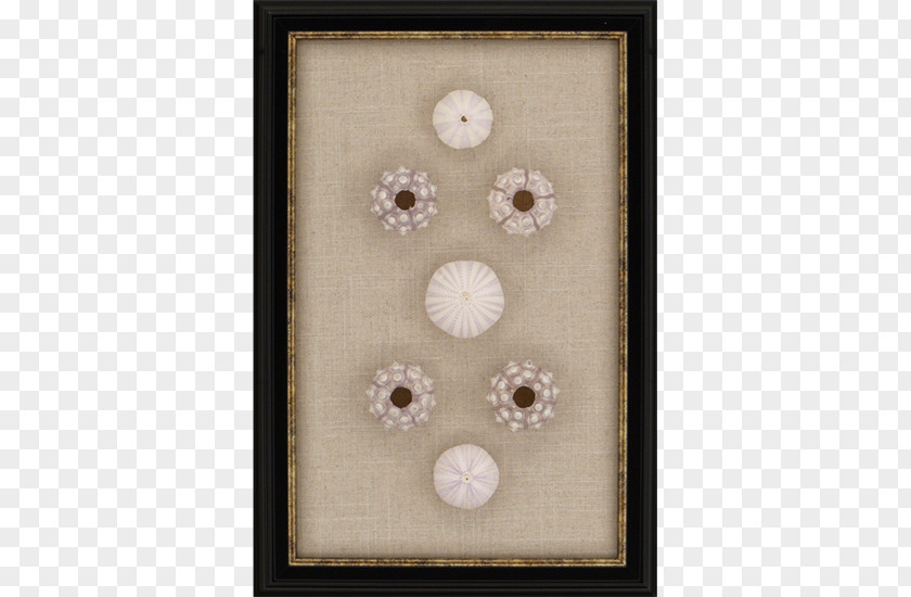 Button Sea Urchin Picture Frames Foam Core Glass PNG