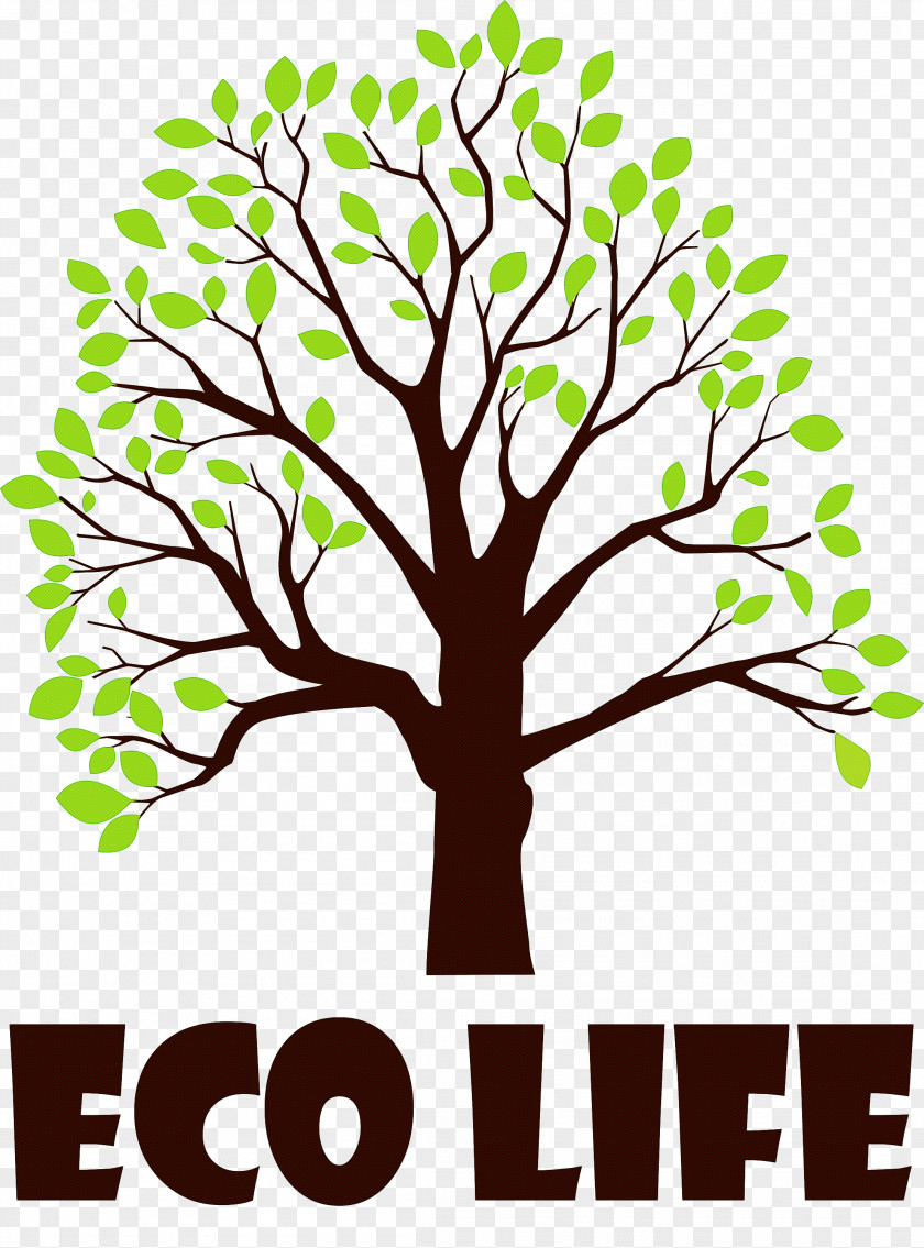 Eco Life Tree PNG