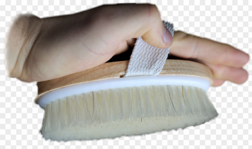 FaszientrainerFascia Training Drybrush Skin Fascial Trainer PNG