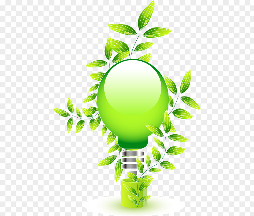 Green Energy Saving Bulb Leaf Euclidean Vector Icon PNG