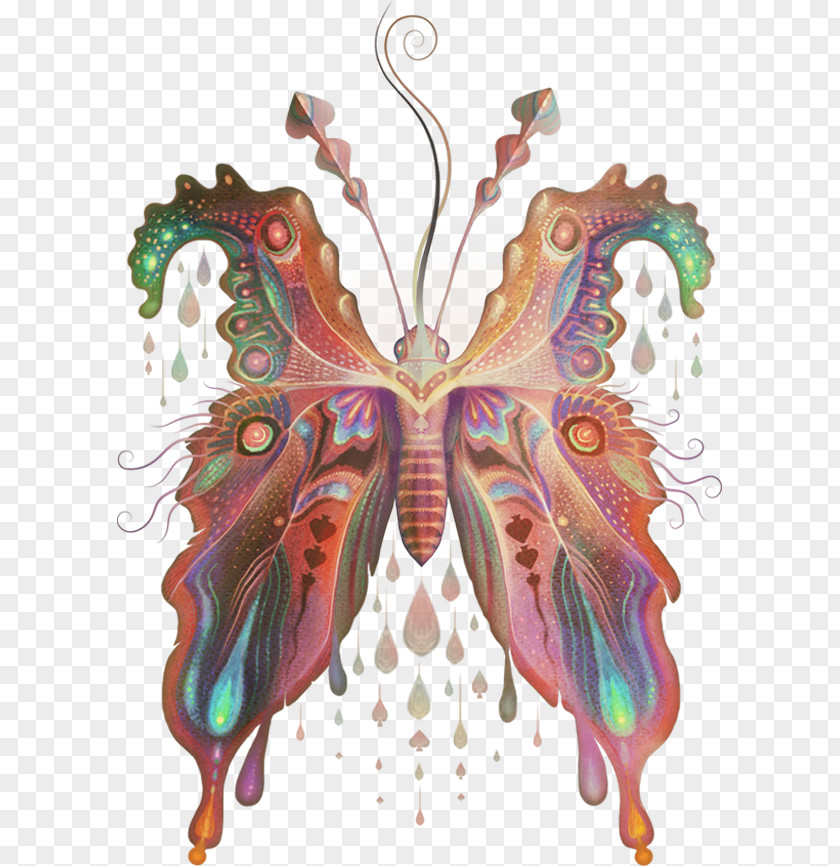 Moth Costume Design Symmetry Legendary Creature PNG