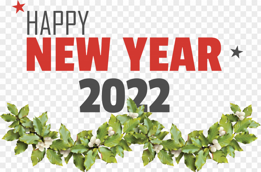 New Year PNG