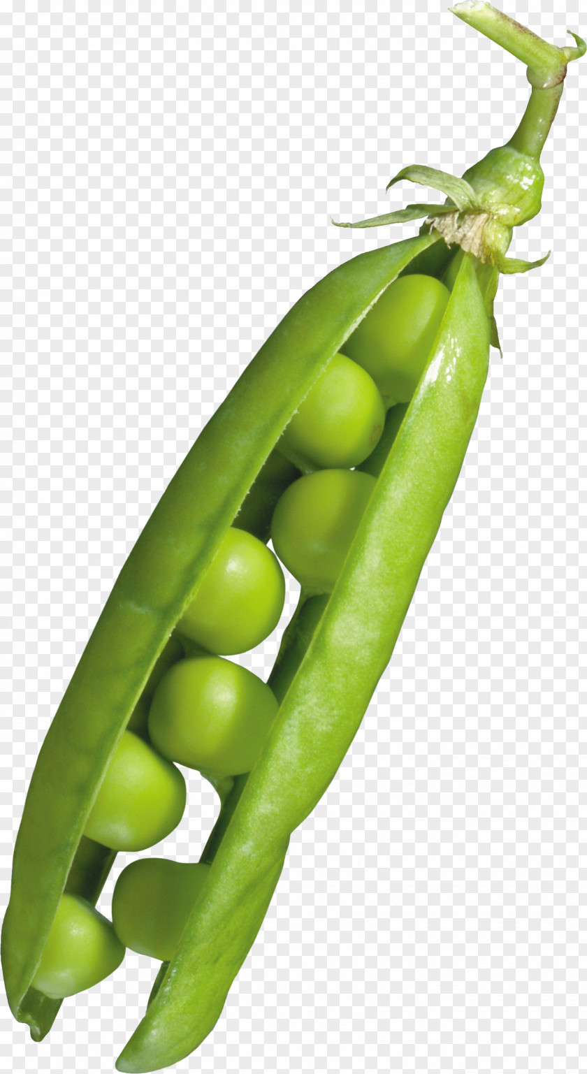 Pea Snap Serrano Pepper Common Bean Vegetarian Cuisine PNG