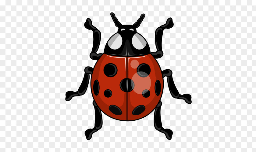 Beetle Ladybird Sprite 2D Computer Graphics Animation PNG
