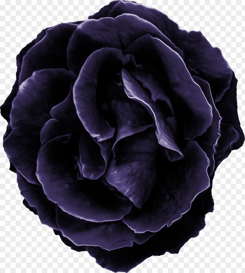 Blue Rose Purple Flower Violet Clip Art PNG