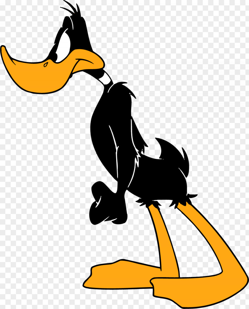 Duck Daffy Donald Daisy Bugs Bunny PNG