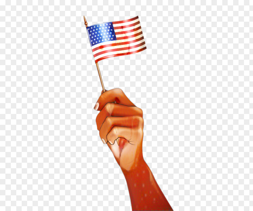 Veterans Day Gesture United States PNG