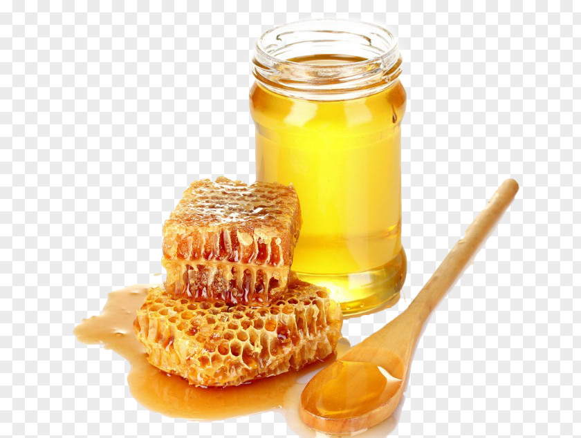 Bee Honey Pot Galau021bi County Tulcea Honeycomb PNG