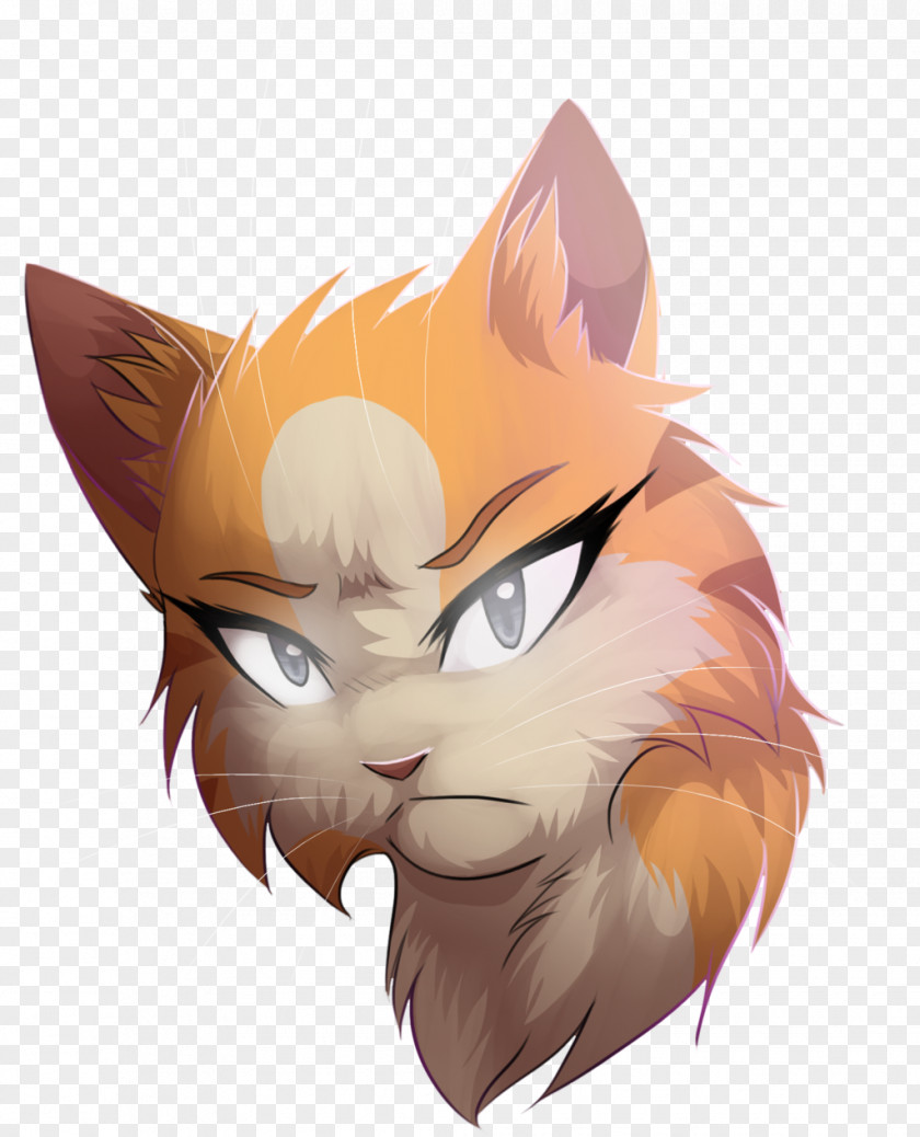 Cats And Mothers Kitten Whiskers Cat Warriors Lionblaze PNG