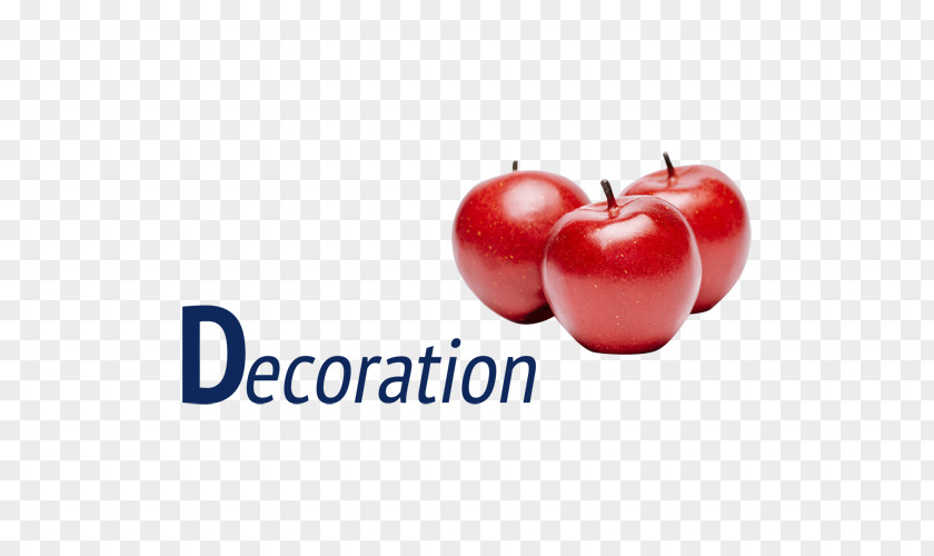 Computer Barbados Cherry Natural Foods Logo Desktop Wallpaper PNG