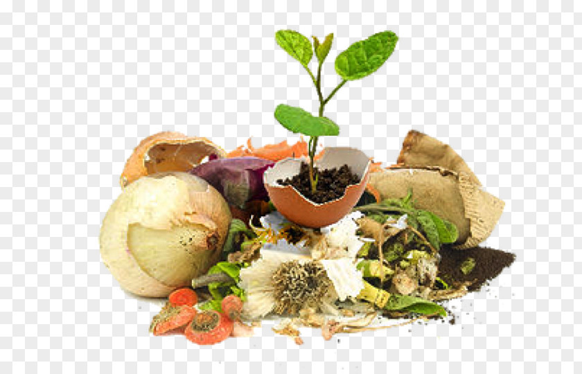 Organic Food Waste Compost PNG