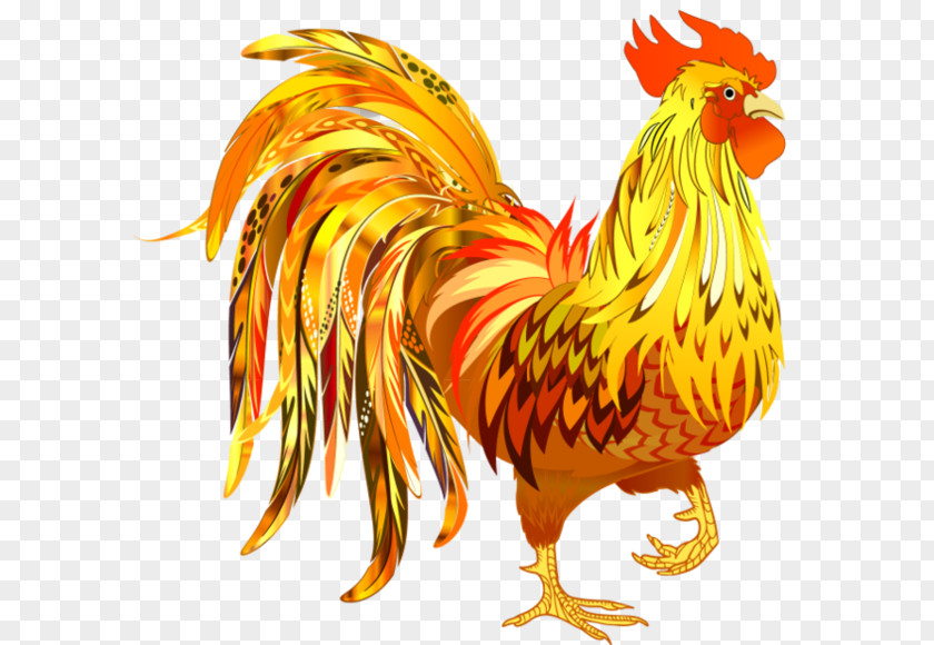 Bird Wing Chicken PNG