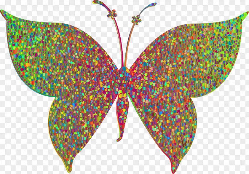 Butterfly Moth Color Insect Clip Art PNG