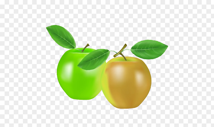 Cartoon Apples Apple Drawing PNG