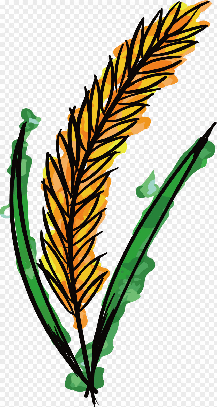 Hand-painted Wheat Watercolor Painting Clip Art PNG