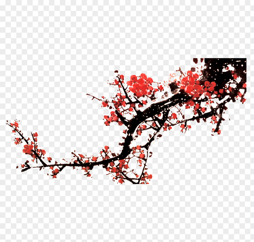 Plum Blossom Classic Of Poetry Chinese Pickles PNG