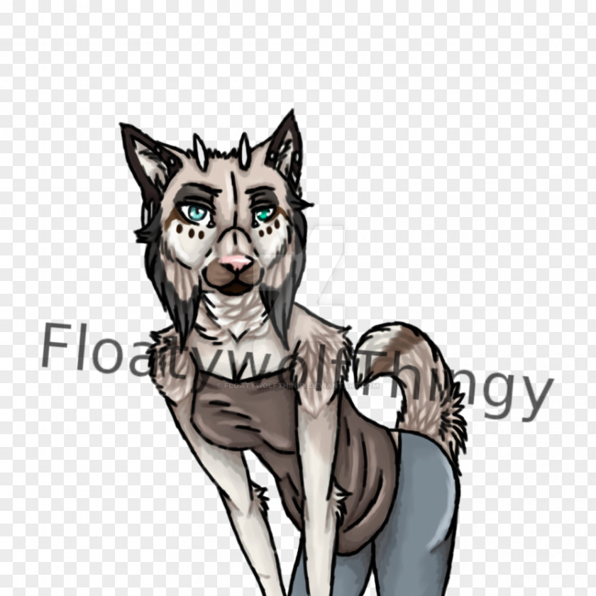 Cat Whiskers Dog Canidae PNG