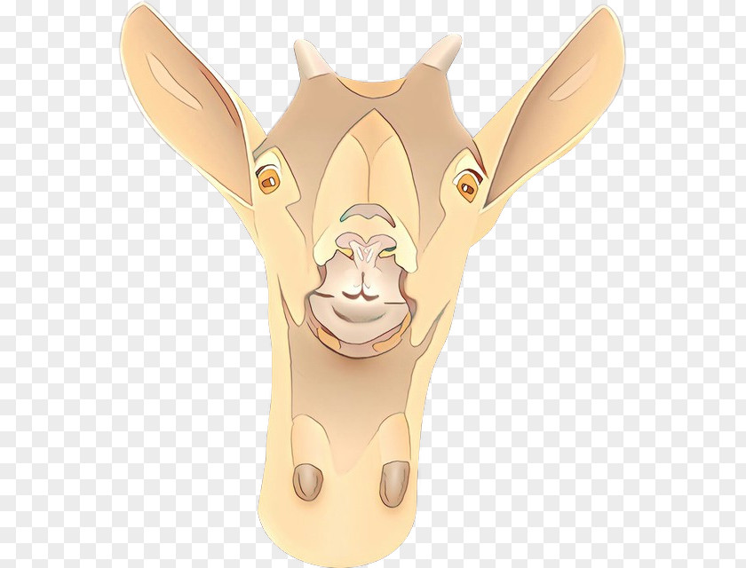 Fawn Working Animal Head Cartoon Snout Clip Art PNG