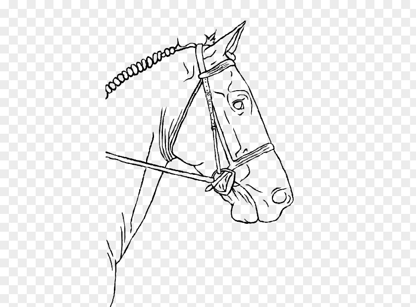Horse Drawing Line Art Pony Equestrian PNG