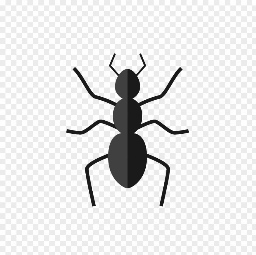 Non Toxic Insect Ant Termite Pest Clip Art PNG