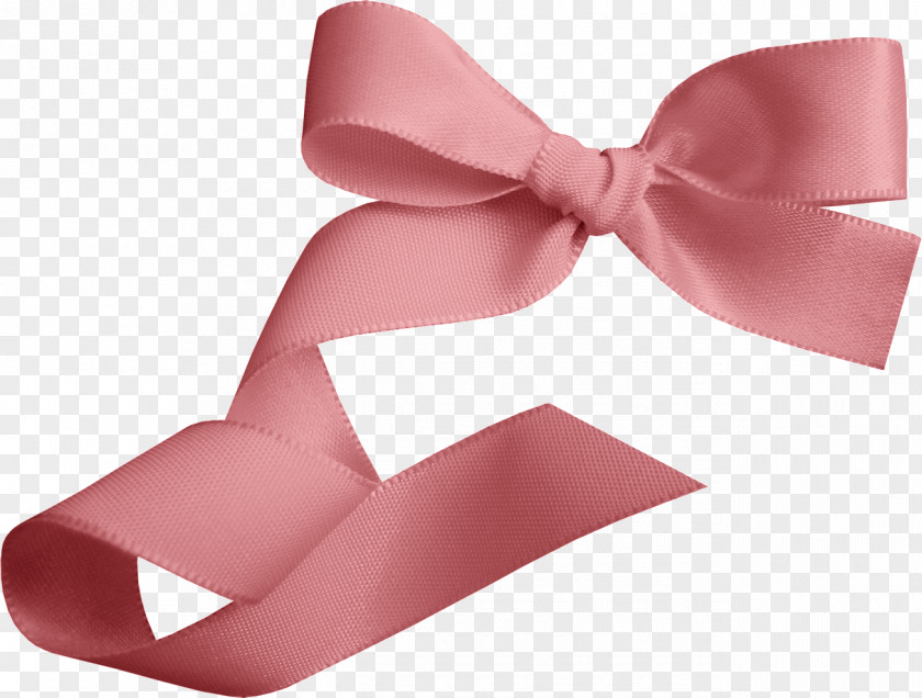 Ribbon Bows How Can I Kitten Sanctuary Product Design University PNG