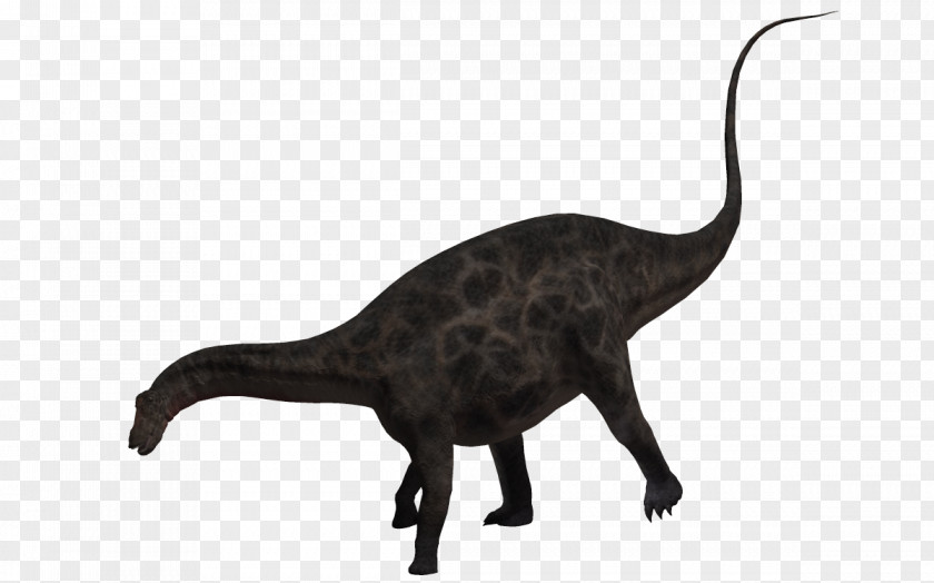 Bow Dinosaur Tyrannosaurus Euclidean Vector Jurassic PNG