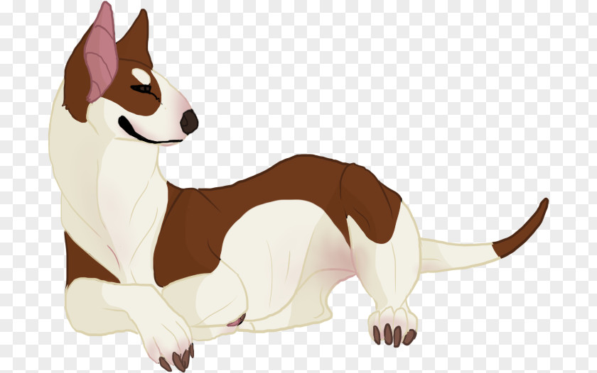 Bull Terrier Dog Breed Maine Coon PNG