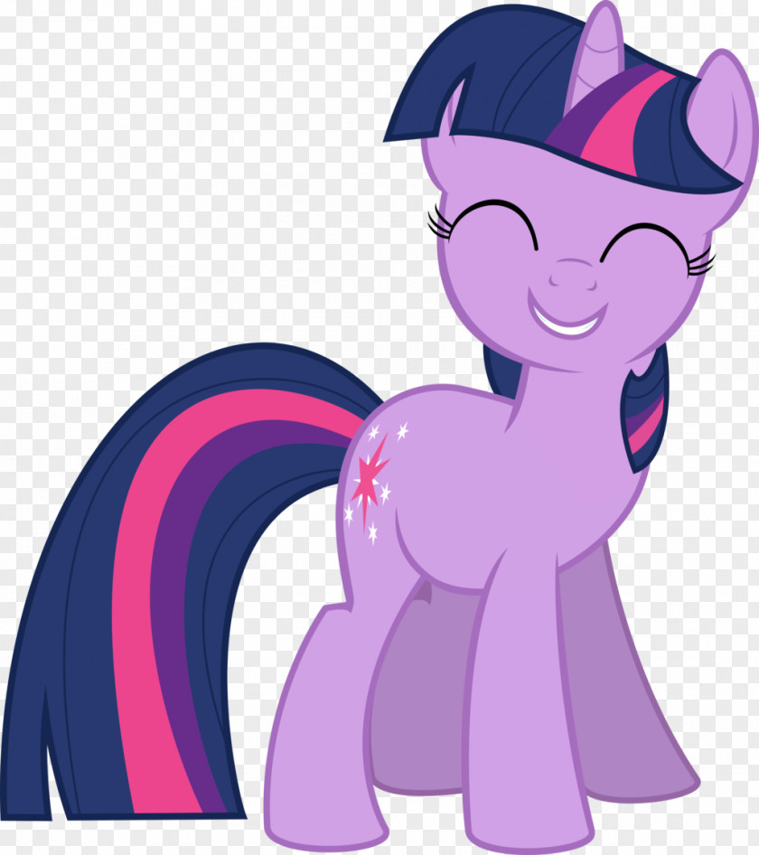 Twilight Sparkle Rarity Pony The Saga PNG