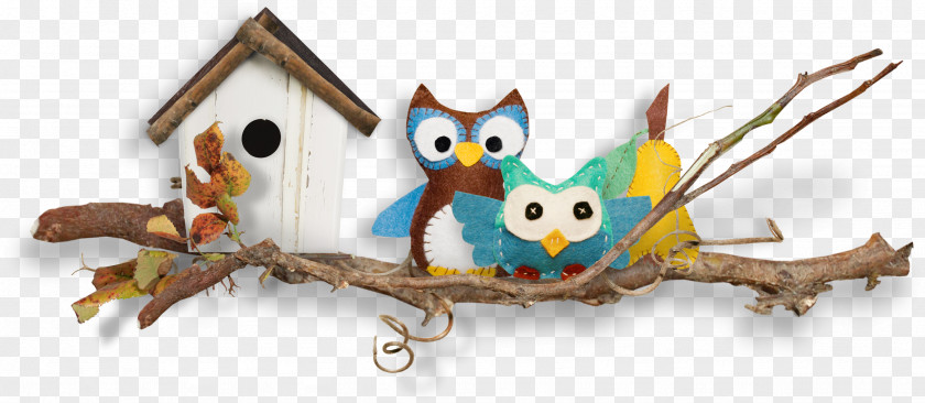 Branches Bird Nest Owl Android Wallpaper PNG