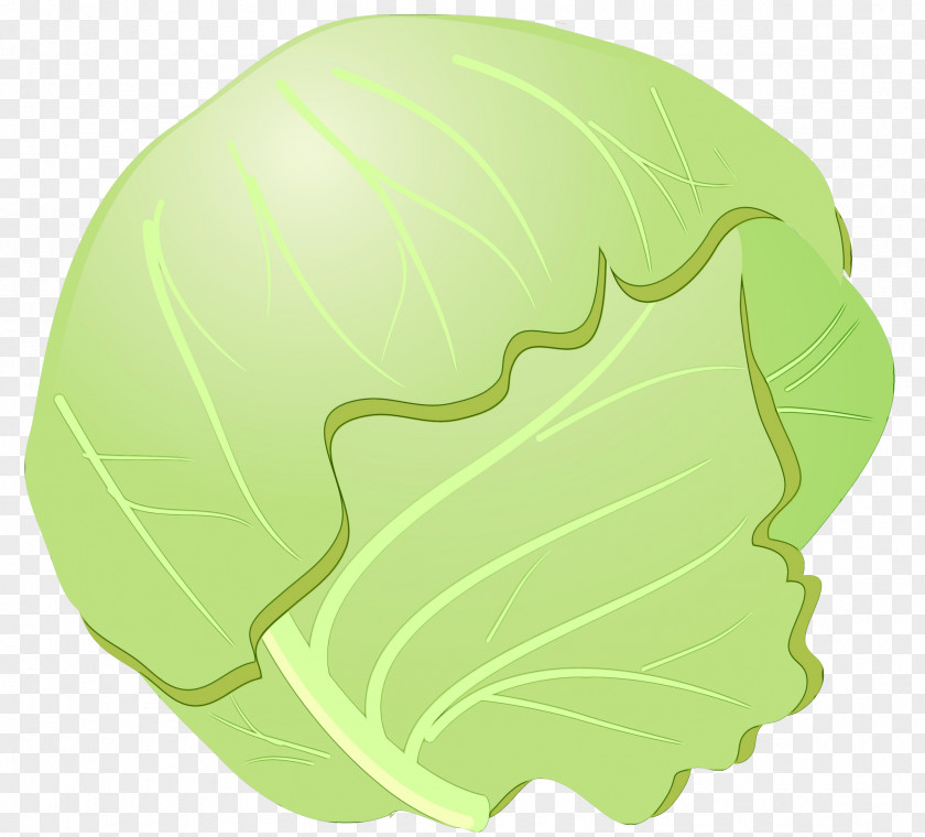 Food Plant Green Cabbage Leaf Wild Cruciferous Vegetables PNG