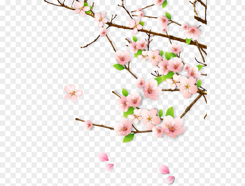 Peach Blossom Spring Clip Art PNG