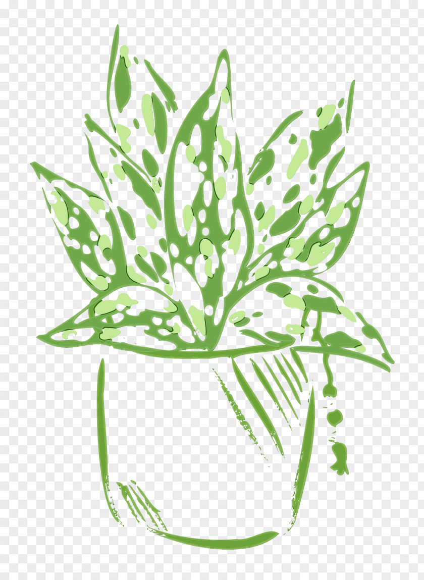 Plant Stem Flower Line Art Leaf Flowerpot PNG