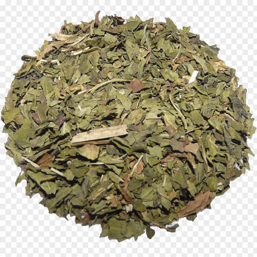 Tea Matcha Flowering Green Organic Food PNG