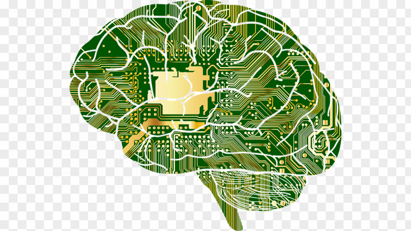 Intelligence Murach's Java Programming Research Internet Of Things Brain Organization PNG