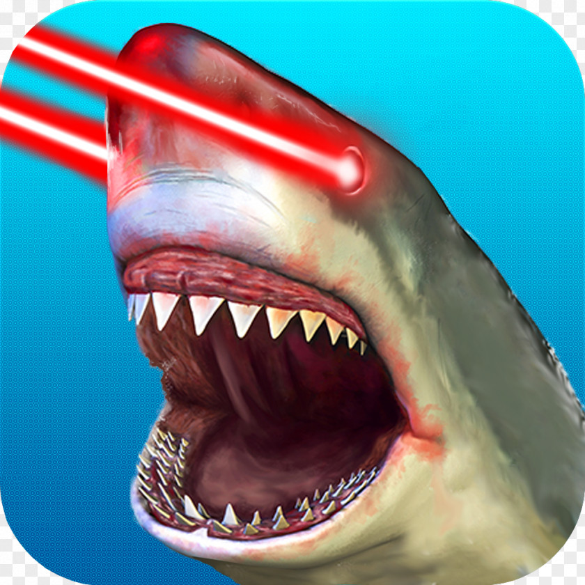 Shark Super Encyclopedia Attack Great White Tooth PNG