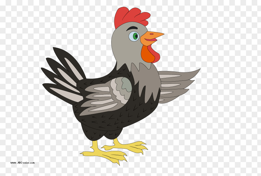 Rooster Drawing Clip Art PNG