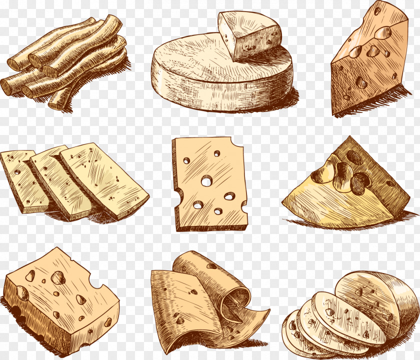 Vector Painted Cheese Edam Drawing Illustration PNG