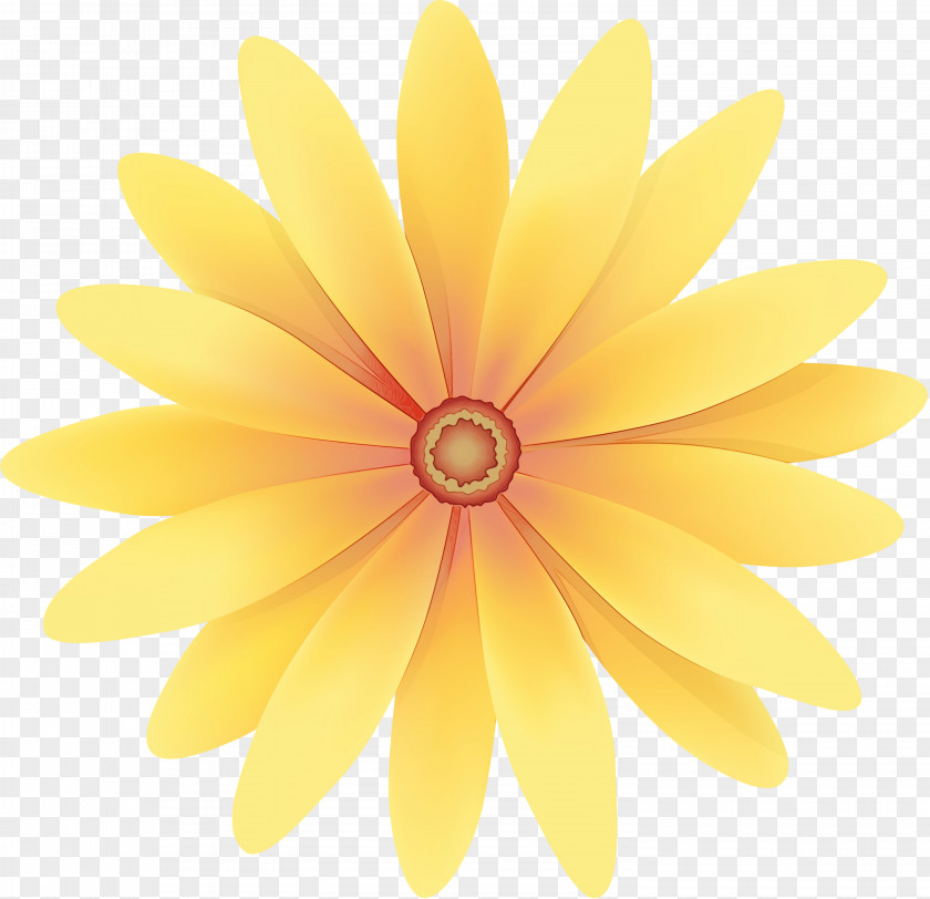 Yellow Close-up PNG