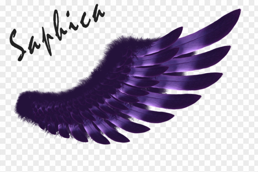 Angel Wing Logo Purple Clip Art PNG