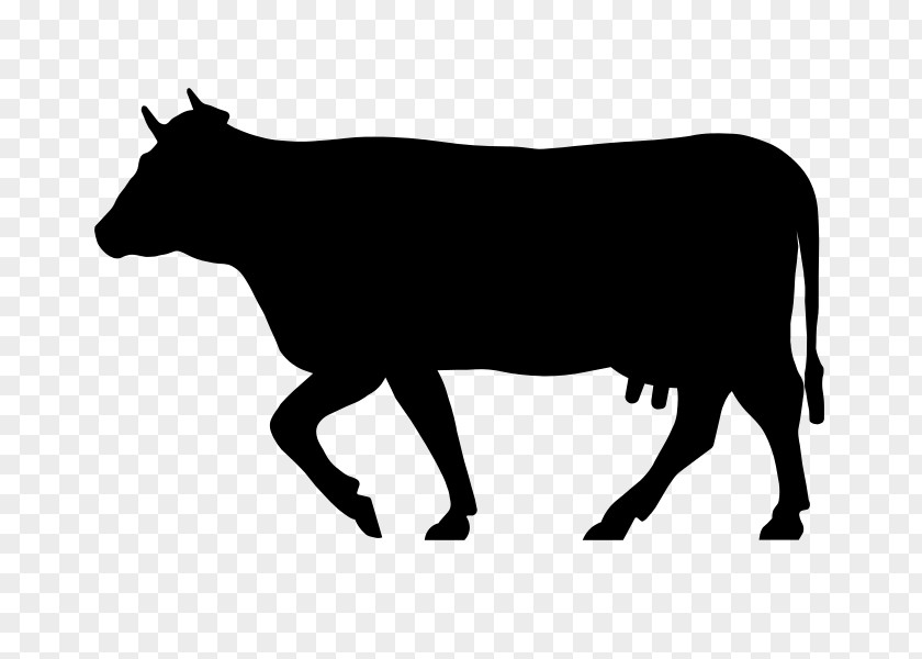 Angus Cattle Salers Charolais Beefmaster Zebu PNG